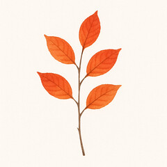 Fototapeta premium Ramo de Outono com Folhas Laranjas e Marrons com Fundo Transparente