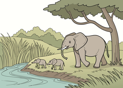 A mother elephant and her two calves walk near a river under a large tree