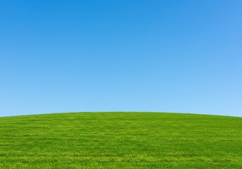 Obraz premium Green field under a clear blue sky