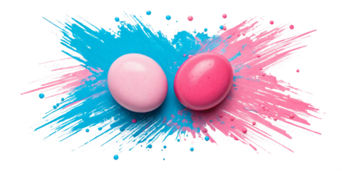 Abstract Pink and Blue Paint Splatter - Vibrant Brush Stroke on Transparent Background
Strawberry Bubblegum and Sky Splash - Gender Reveal Paint Stroke Isolated PNG