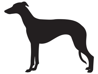 GREYHOUND DOG SILHOUETTE