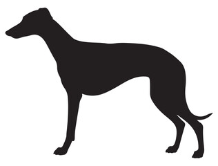 GREYHOUND DOG SILHOUETTE
