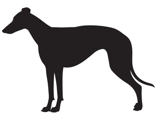 GREYHOUND DOG SILHOUETTE