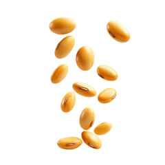 Falling soybeans isolated on transparent background


