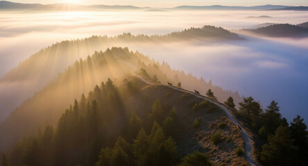 Sunrise over misty mountain ridge with pine trees and wild horses along winding trail, golden light rays, serene natural landscape, peaceful, early morning
