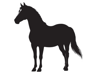 HORSE SILHOUETTE