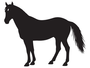 HORSE SILHOUETTE