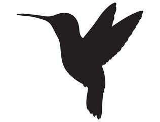 Obraz premium HUMMINGBIRD SILHOUETTE