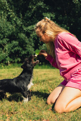 Pretty pet owner playing with dog Neon yellow badminton shuttlecock on green grass outdoors. Alternative fitness recreational sport. Furry friends pet-centric love