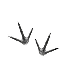 Detailed avian footprints offer a unique texture on an isolated black background, showcasing delicate detail in a wildlife composition.