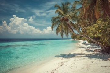 Tropical Beach Paradise With Palm Trees And Turquoise Water