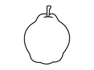 Quince icon. Fruits and vegetables outline icon. Simple vector illustration in modern thin line style.