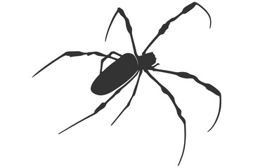 Black Silhouette of Spider with Long Legs – Insect Vector Illustration for Halloween or Nature Themes