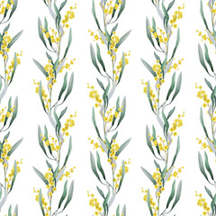 Golden wattle flowers seamless pattern decor element watercolor illustration. Acacia pycnantha Australian native plant. Golden wattle floral decoration elegant pattern design on white background