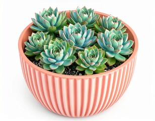 Fototapeta premium A pastel pink planter filled with vibrant blue-green succulents.