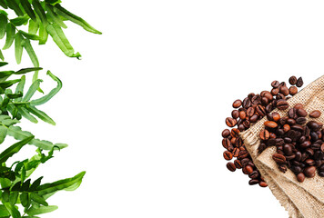 frame of roasted coffee beans and green fern leaves