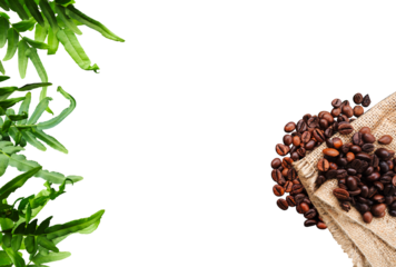 frame of roasted coffee beans and green fern leaves
