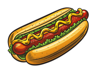 hot dog illustration