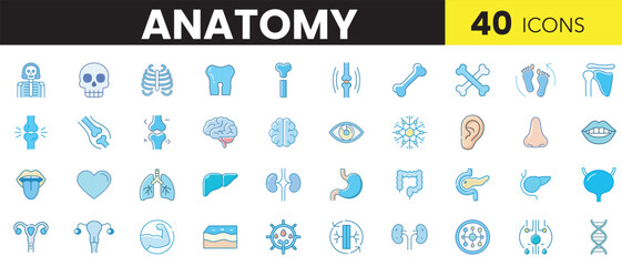 Anatomy Color Icon Set – Colorful Human Body Vector Icons for Medical & Educational Use