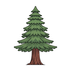 Fototapeta premium Cartoon Redwood Tree Illustration with Green Foliage and Brown Trunk on White Background