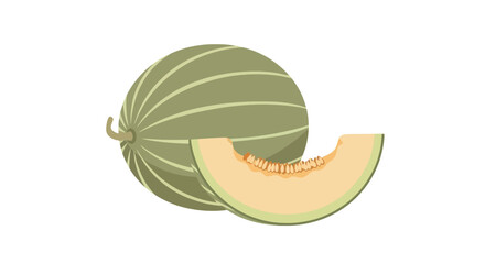 Cantaloupe Melon and Slice - Fresh Fruit Illustration