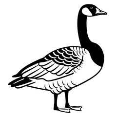 Canada goose standing profile silhouette