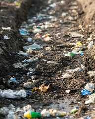 Obraz premium recycling and nature themes: photos of trees sprouting from waste, Earth held above trash, and green initiatives with ample blank spaces for environmental messages.