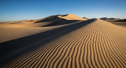 Rolling sand dunes with textured surfaces are bathed in warm sunlight under a clear blue sky.