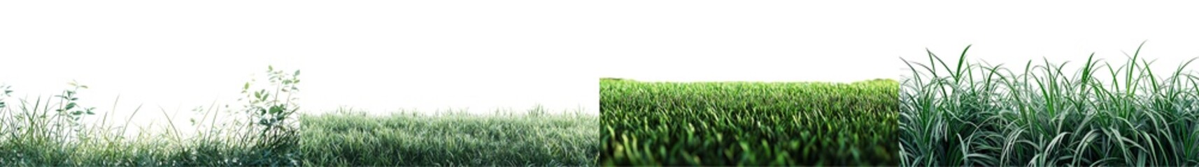 Obraz premium Lush Green Grass Field Under Bright Blue Sky with Soft Clouds and Natural Light