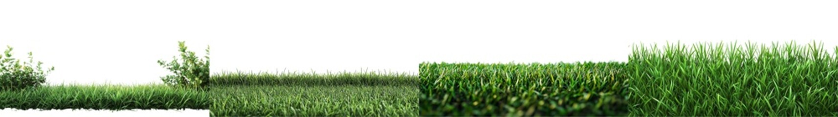 Fototapeta premium Lush Green Grass Landscape with Vibrant Plants Under Clear Blue Sky During Daytime