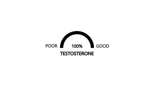 Animation testosterone level metering. Testosterone hormone speedometer, indicators.Testosterone Level Meter, measuring scale. Hormone Testosterone speedometer indicator.4k motion graphic 4k video.