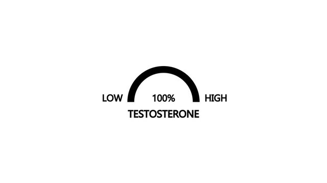 Animation testosterone level metering. Testosterone hormone speedometer, indicators.Testosterone Level Meter, measuring scale. Hormone Testosterone speedometer indicator.4k motion graphic 4k video.
