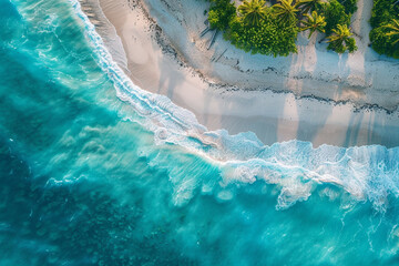 Tropical beach with palm trees