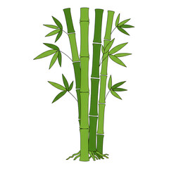 Vibrant green bamboo stalks with leaves isolated on transparent background