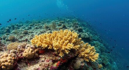 Naklejka premium Vibrant coral reef ecosystem in turquoise waters with diverse marine life creating a colorful