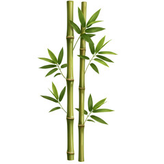 Vibrant green bamboo stalks with lush leaves isolated on transparent background