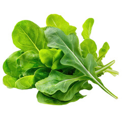 Fresh green arugula and spinach leaves low calories perfect for healthy food dishes with vibrant color and natural texture png
