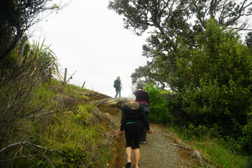Tourist walking around Waipu pancake rocks in Waipu, New Zealand.	
