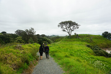 Tourist walking around Waipu pancake rocks in Waipu, New Zealand.	
