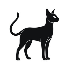 Elegant black cat silhouette standing gracefully isolated on white background