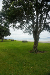 Beautiful view at Waipu beach in Whangarei, New Zealand on cloudy day.	