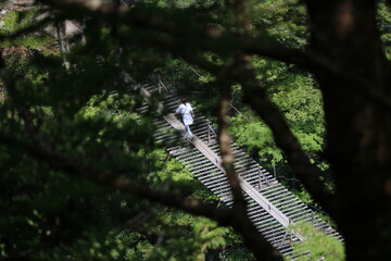 夢のつり橋