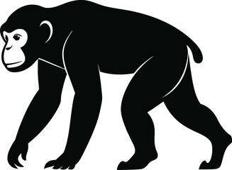 Obraz premium Chimpanzee Walking on All Fours Full Body Silhouette