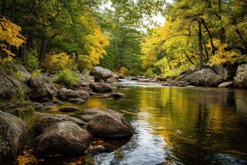 Autumn leaves in green and yellow next to big rocks by a river