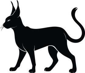 Silhouette of a Caracal Cat Walking with Large Tufted Ears