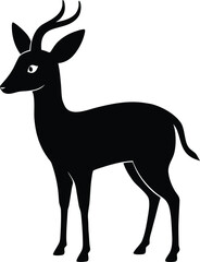 Silhouette of a Dik Dik Antelope Standing with Small Horns