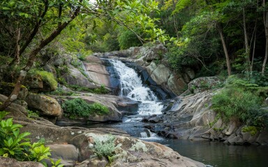 Obraz premium Serene cascading waterfall flowing over smooth rocks surrounded by lush green forest foliage