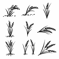 Obraz premium Stylized Black Silhouettes of Rice Plants and Grains, perfect for agricultural and food-related designs, featuring various forms of this essential crop.
