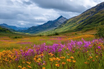 Obraz premium Denali s wildflowers in Alaska