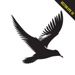 seagull flying silhouette vector illustration